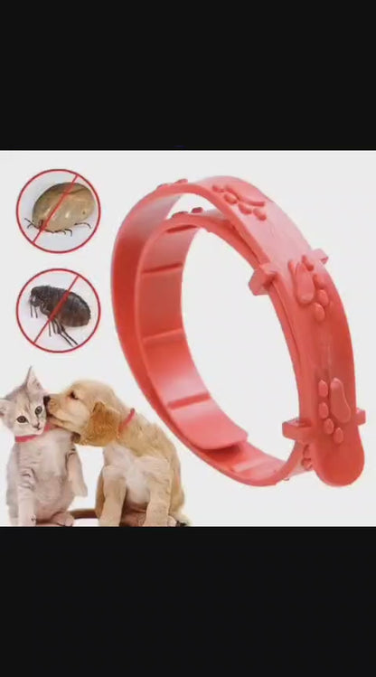 🐶🐱 COLLAR ANTIPULGAS PARA PERROS Y GATOS🐶🐱